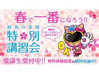 🌸春期講習受付中🌸